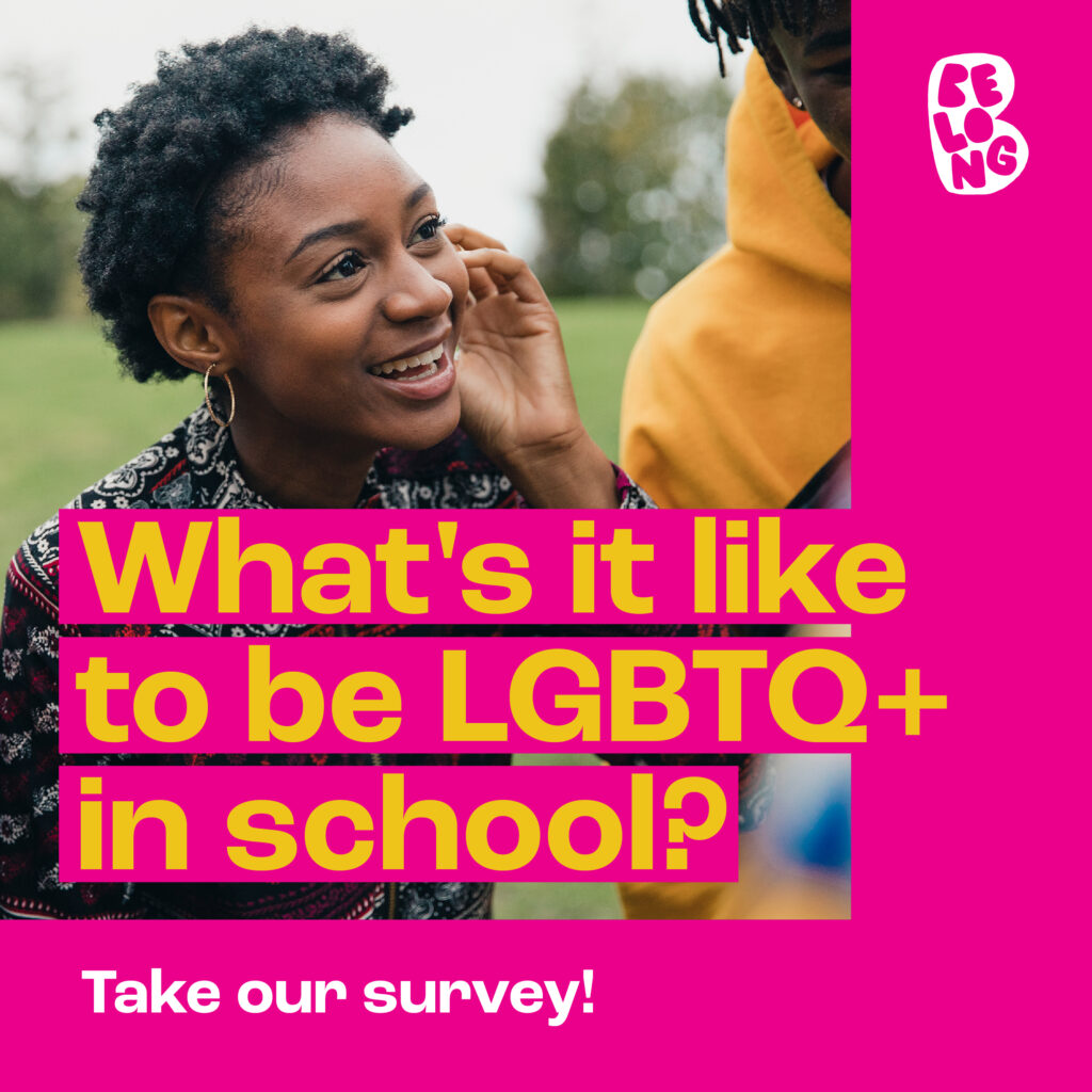 School Climate Survey 2024 - Belong To - LGBTQ+ Youth Ireland